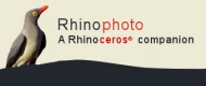 rhinophoto.jpg